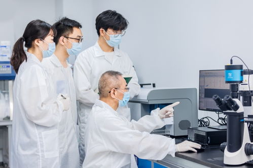 精準獵殺癌細胞，武漢企業發布突破性生物研發成果